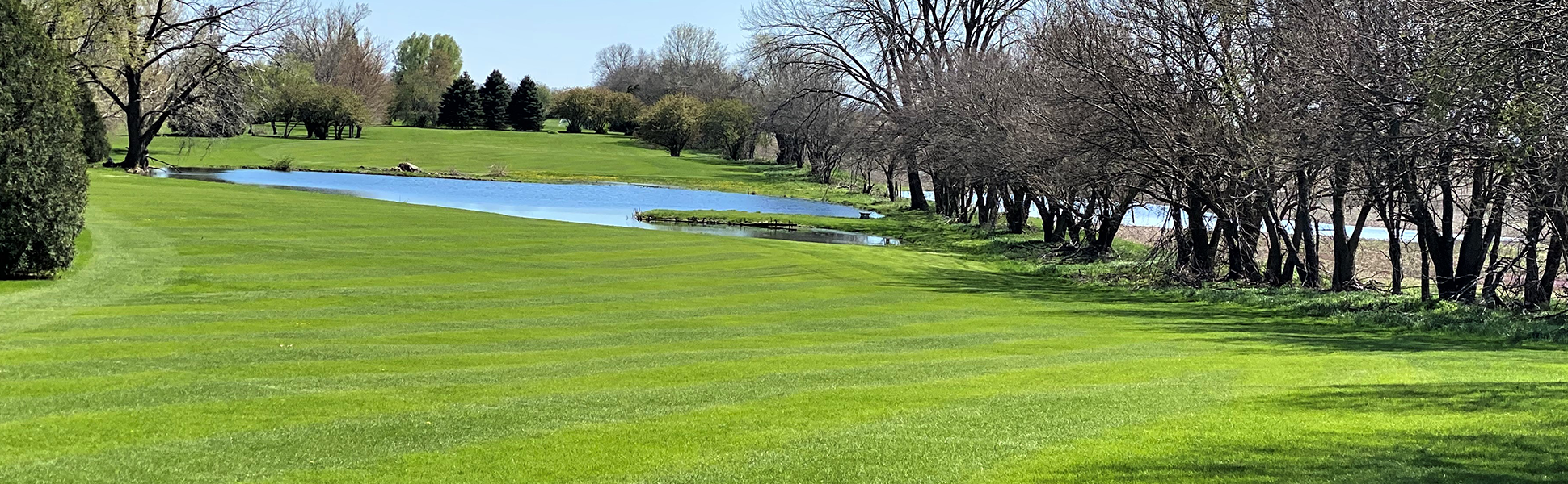 view of golf course with pond