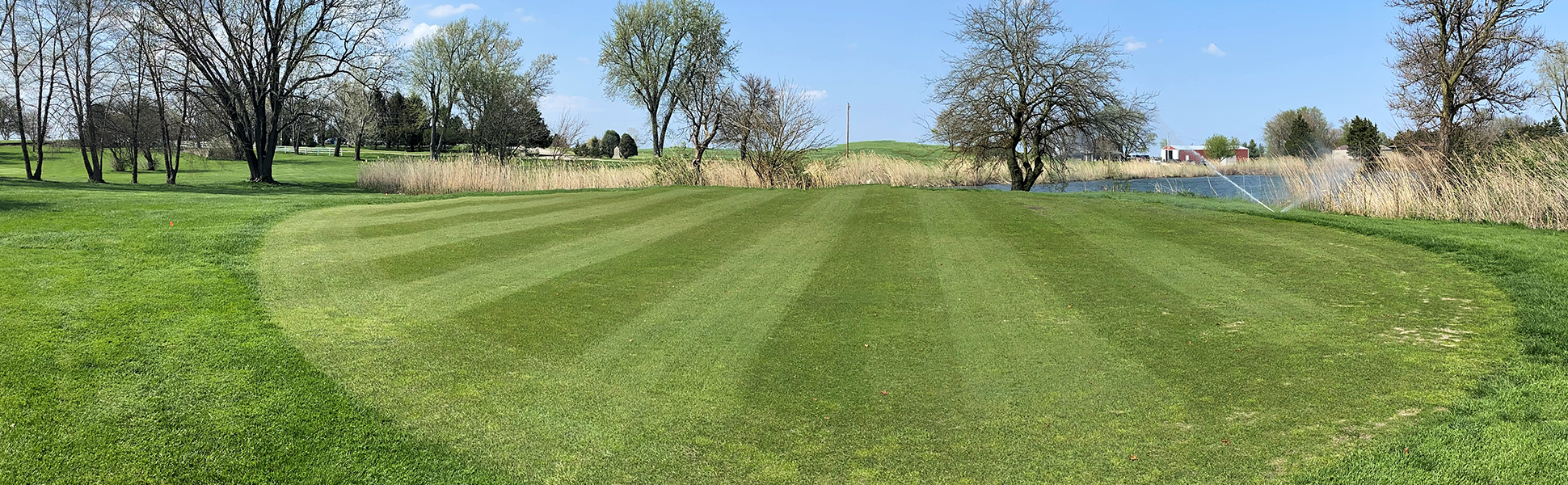 view of golf course green